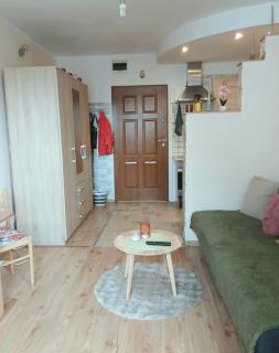 Przytulny apartament blisko jeziora - 4