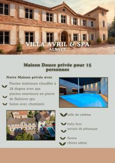Villa Avril et Spa Gîte de luxe 15 personnes avec piscine chauffée toute l'année - Sélestat - 5