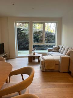 Luxery Lakeview Apartment- Beautiful Private Terrace - 9