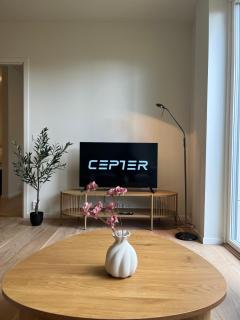 High End Apartment in Beautiful Area - 1