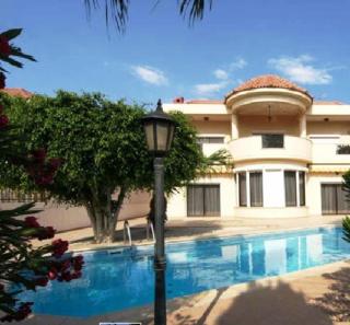 Patatas Villa - Limassol - 8