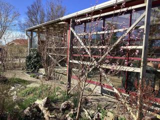 4 star holiday home in Åsa - 7