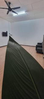 Marang Private Pool Homestay - 3-Bedroom - Family & Group Stay - 7