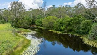 Luxury Escape Villa Noosa Hinterland - 3