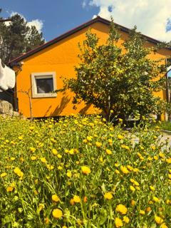 Refúgio com Piscina privada, Casa do Vale - DOURO, vistas deslumbrantes - Vilar de Maçada - 4