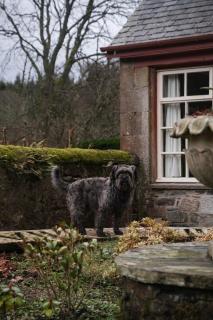 Bleaton Hallet House Riverside Escape - 3