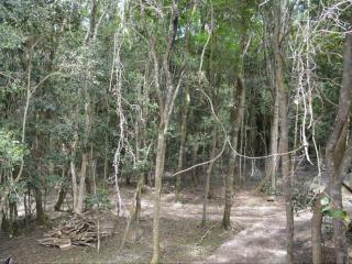 SHABBY FUFU LIFESTYLE FARM - 3