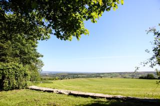 Kingston Country Courtyard - 9