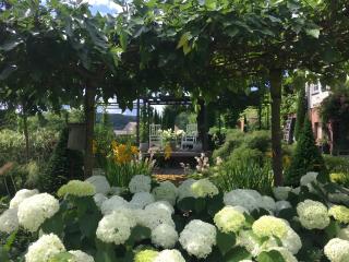 Waldwagen Altes Forstamt Sinntal - 8