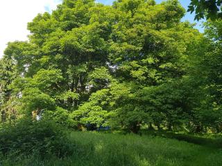 2 bed-Sleeps 4-Free Parking-Pet Friendly - 2