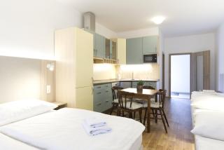 Studia a apartmány U Karla - 1
