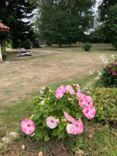 Gite La Petite Maison Mazères - 5