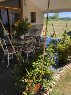 Gite La Petite Maison Mazères - 3