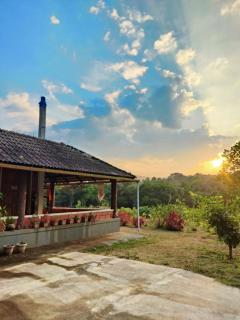 Tayra - The Glass Villa - 6