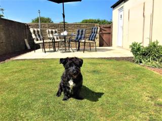 3 Bed in Seahouses oc-cn182 - Seahouses - 8