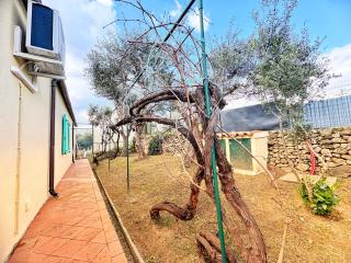 Vida Lentas - Romantico Stazzo Gallurese - 2