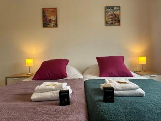 M Lorry Travel grand T3 6 pers proche centre Metz - 5