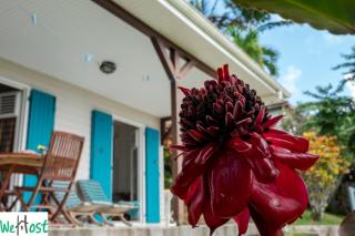 Rose de Porcelaine - Charming Creole house - 2