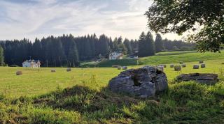 CASA DELLE STELLE Dimora ORSA MAGGIORE - 9