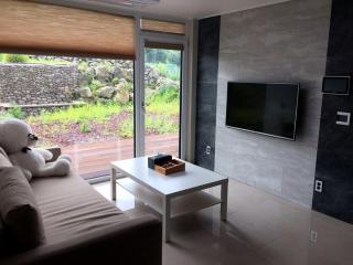 Jeju Teracehill Pension - 1