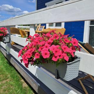 Sarenkowo dom z balia ogrodowa - 9