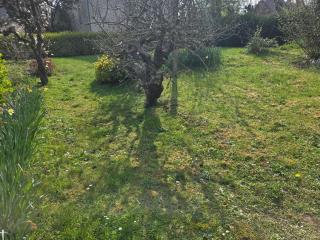Maison plain-pied avec jardin - Château-Gontier - 9