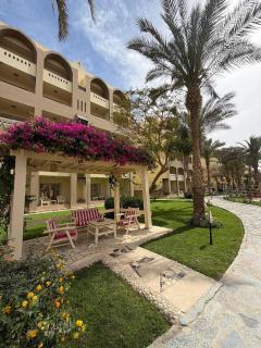 Comfortable studio in hotel Karma with private beach and pools - 7