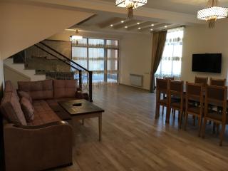 Deer Villa - 6