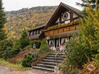 Hotel Landhaus Sonnenhof - Todtnau - 4