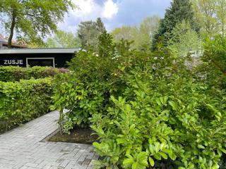 vakantiehuisje Zusje met eigen sauna - 2