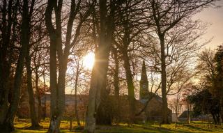 Library Cottage near Gorebridge - 1