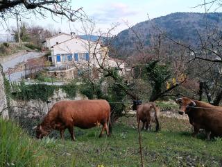 Gîte la côte des bleuets de Retourtour - 9
