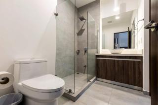 Furnished 1 Bedroom Apartment in San Jose - 1