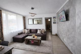 Cozy Mountain Escape near Straja - 6