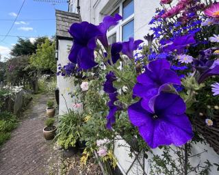 2 Bed in Tavistock oc-c30474 - 6