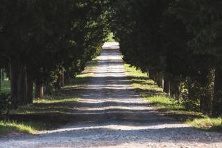 Agriturismo Villa Buoninsegna - Rapolano Terme - 4
