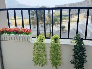 velvet rose home - 3