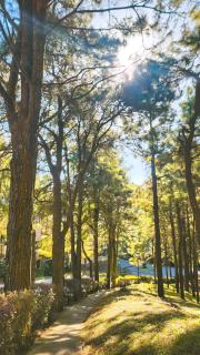 The Hideaway - New Condo in Crosswind Tagaytay - 6