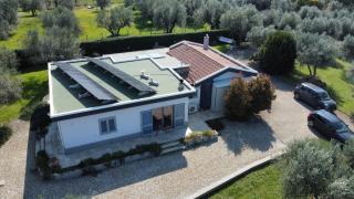 Villa San Pellegrino in the Olive Grove - Viterbo - 8