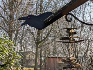 Ferienhaus zwischen Ostsee und Schlei - 1