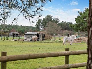 2 Bed in Ringwood oc-94272 - 2