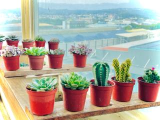 Peeks meet moon gallery & house - Miaoli - 5