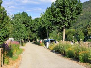 Charmant gîte 43m² à Puget-Théniers - API-1-52-695 - 5