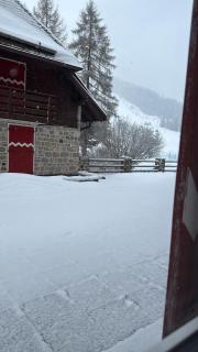 Golf Hotel & Spa Carezza - Appartamenti Panoramici direttamente sulle piste da sci - Bolzano - 1