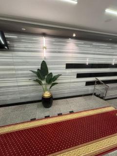 Luxurious apartment for rent - 9