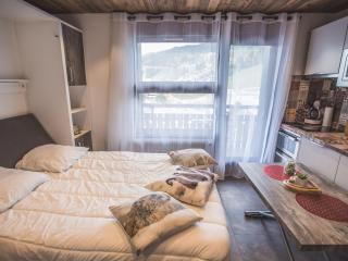 Charmant studio rénové au centre, près des pistes - FR-1-598-81 - 2