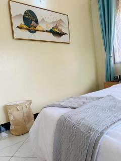 Hidden beautiful Modern Apartment - Entebbe - 2