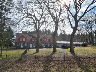 Gemütliche Ferienwohnung mit 2 Schlafzimmern am Prosnitzer Wald - 8