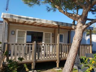 Mobil-home Loic camping les Dunes de Contis - 2