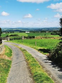 Countryside bliss - 2